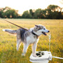 Interactive Dog Water Fountain