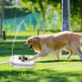 Interactive Dog Water Fountain