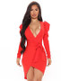 Owning This Moment Long Sleeve Elegant Mini Dress