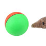 Cat Ball Teaser Toy