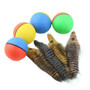 Cat Ball Teaser Toy