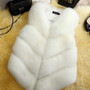 2020 New Fashion Faux Fur Coat Winter Coat Women Waist Coat Fur Gilet Women's Fur Jacket Fur Vest For Ladies