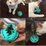 Interactive Rubber Balls for Pets