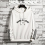 Spring Autumn Street Hip hop Casual Men Hoodies