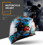 Motorcycle Helmet Graphics ABS