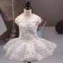 Fashion  Lace Princess Dog Wedding Dresses