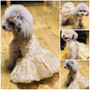 Princess Dog  Wedding Tutu  Pet Puppy Dresses
