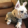 Dog Clothes Spring  Autumn Hoodies