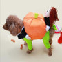 Funny Pumpkin Dog Costumes Coat