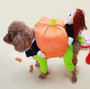 Funny Pumpkin Dog Costumes Coat
