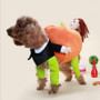 Funny Pumpkin Dog Costumes Coat