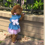 Dog Princess Dress Skirt