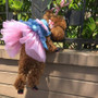 Dog Princess Dress Skirt