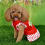 Cute Christmas Printed Dog Dress