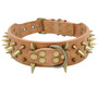 Cool Spikes Studded Dogs Collar