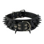 Cool Spikes Studded Dogs Collar