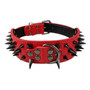 Cool Spikes Studded Dogs Collar