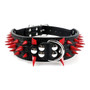 Cool Spikes Studded Dogs Collar