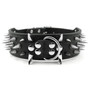 Cool Spikes Studded Dogs Collar