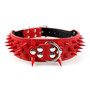 Cool Spikes Studded Dogs Collar