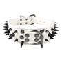 Cool Spikes Studded Dogs Collar