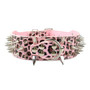 Cool Spikes Studded Dogs Collar