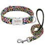 Dog Collar Personalized Nylon Puppy Walking Leash