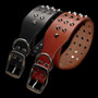 Leather Adjustable Spikes Dog Collar
