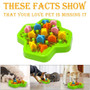 Iq Treat Food Interactive Dog Toys