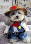 Funny Dog Costumes