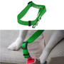 Dog Collar And Seat Belt