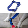 Dog Collar And Seat Belt