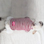 Spring Summer Pet Dog Shirt