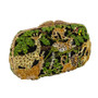 ANIMAL INSTINCT crystal-embellished clutch