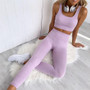 2 Piece Set Workout Clothes for Women Sports Bra and Leggings Set Sports Wear for Women Gym Clothing Athletic Yoga Set