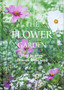 The Flower Garden: How to Grow Flowers from Seed