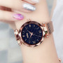 Luxury Women  Magnetic Watch