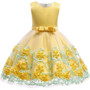 Kids Birthday Princess Party Dress for Girls