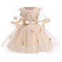 Kids Birthday Princess Party Dress for Girls