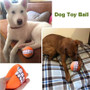 Chewy™ Dog Toy Ball With Teeth