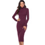 Turtleneck Knitted Rib Mid Dress