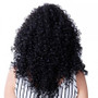 Black Curly Hair Wig Synthetic Glueless No Lace Front Jerry Curl Hair Wigs