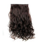 5Pcs Clip Hair Synthetic Hair Extension Curly Heat Resistant Hair