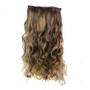 5Pcs Clip Hair Synthetic Hair Extension Curly Heat Resistant Hair