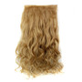 5Pcs Clip Hair Synthetic Hair Extension Curly Heat Resistant Hair