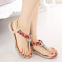 Sandals Bohemia Casual Shoes  Flats Sandals