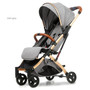 3-in-1 Baby Stroller