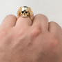 Stainless Steel Claw Skull Ring