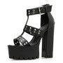 Chunky Heel Platform Shoes