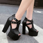 Rivet Chunky Heel Shoes